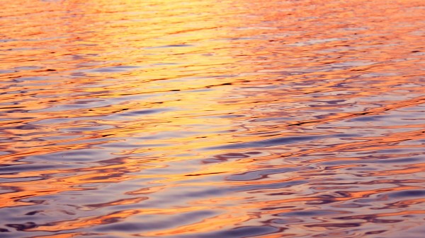 Water Glare Ripples wallpaper