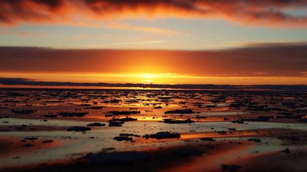 Water Ice Ice Floes wallpaper