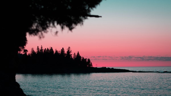 Water Sunset Trees wallpaper