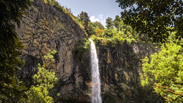 Waterfall Cliff Trees Image wallpaper