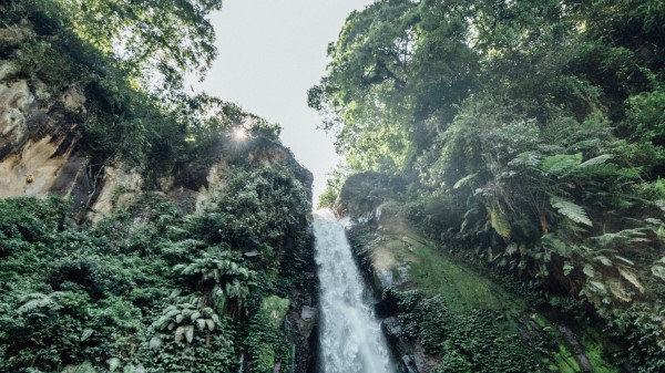 Waterfall Cliff Trees wallpaper