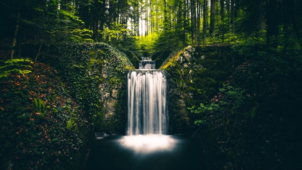 Waterfall Landscape Plants wallpaper