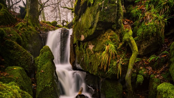 Waterfall Moss Stones Image wallpaper