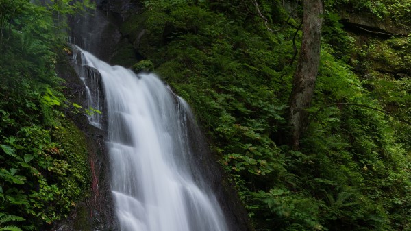 Waterfall Spray Stream Wallpaper