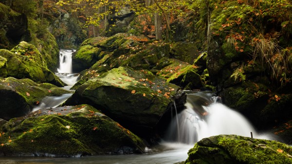 Waterfall Stones Moss C wallpaper