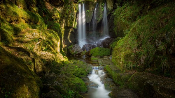 Waterfall Stones Moss Wallpaper