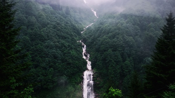 Waterfall Trees Fog wallpaper