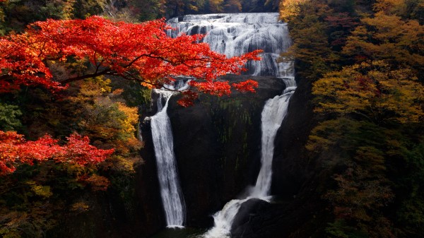 Waterfall Trees Precipice wallpaper
