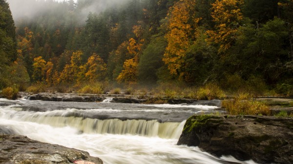 Waterfall Trees Stones wallpaper