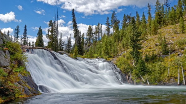 Waterfall Water Trees wallpaper