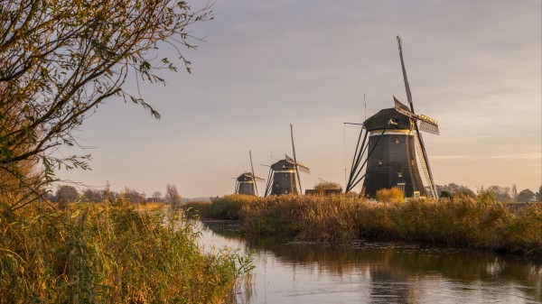Windmill River Water Wallpaper