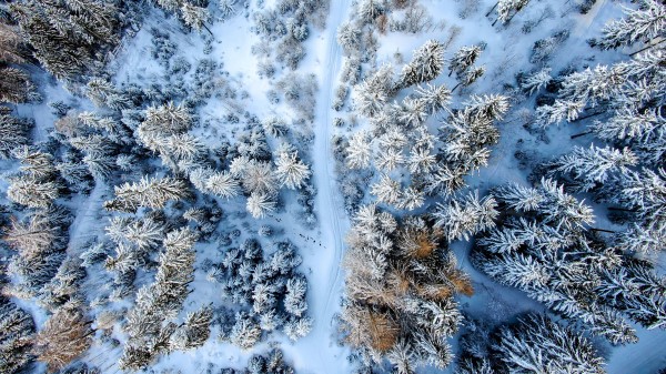 Winter Forest Road Aerial View Wallpaper
