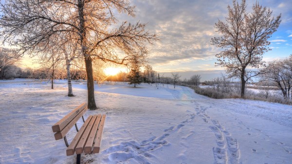 Winter Snow Dawn Footprints Bench Wallpaper
