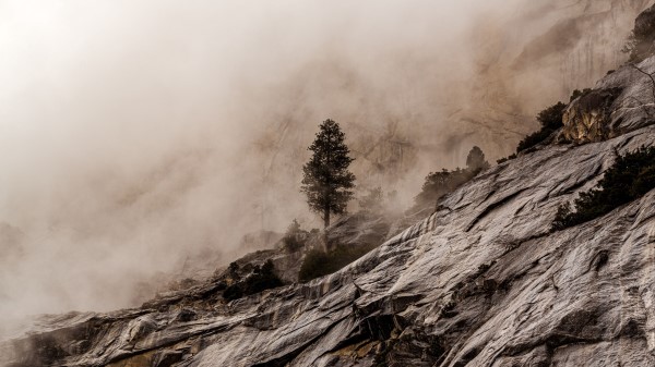 Wood Rocks Fog Wallpaper
