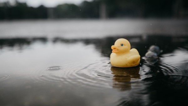 Rubber Duck Duck Toy Image wallpaper