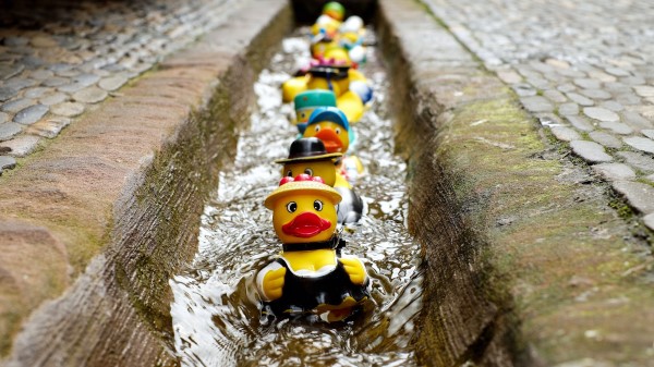 Rubber Ducks Toys Water wallpaper