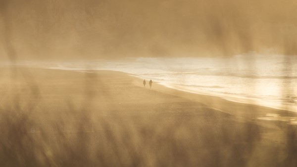 Sea Beach Silhouettes wallpaper