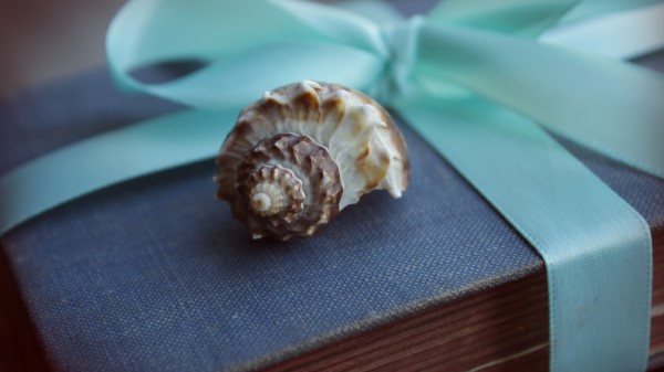 Shell Book Old Gift Ribbon Bo wallpaper