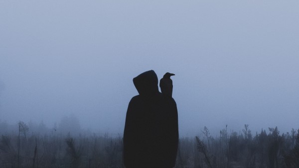 Silhouette Crow Hood wallpaper