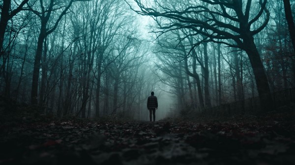 Silhouette Forest Fog wallpaper