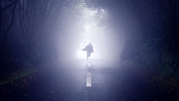 Silhouette Road Fog wallpaper