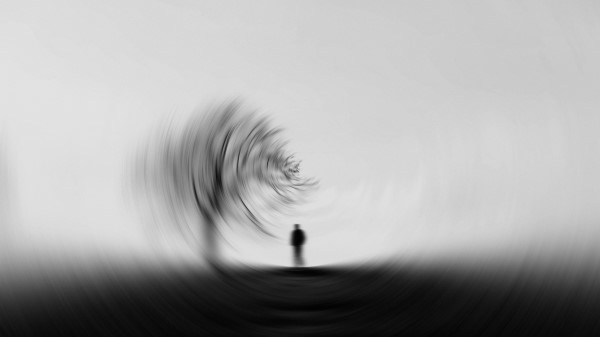 Silhouette Tree Blur Wallpaper