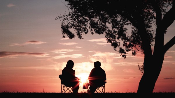 Silhouettes Sunset Tree wallpaper