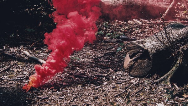 Smoke Red Branches wallpaper