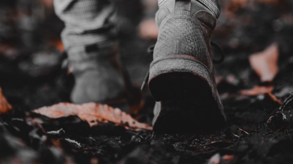 Sneaker Legs Leaves wallpaper