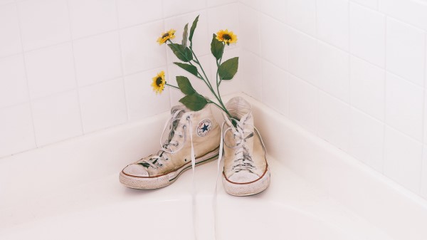 Sneakers Shoes Flowers wallpaper