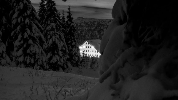 Snow Trees House Wallpaper