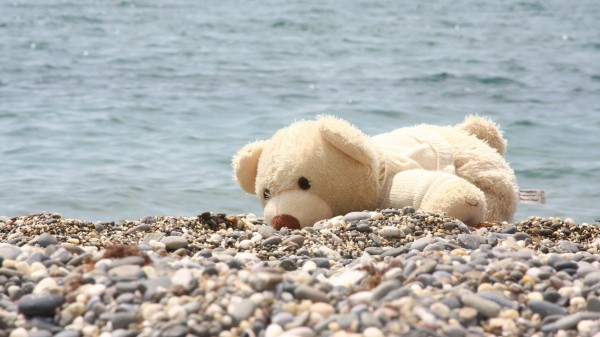 Soft Toy Bear Beach Rocks Se Wallpaper