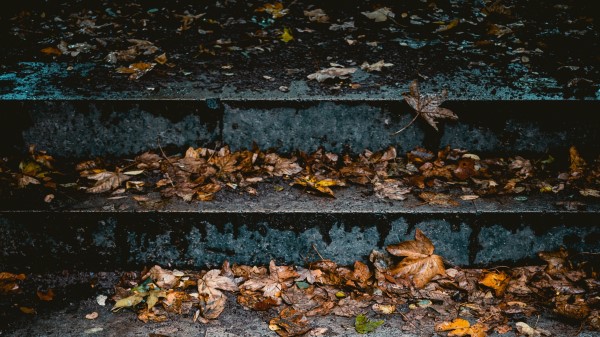 Stairs Leaves Autumn wallpaper