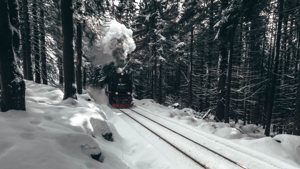 Steam Engine Train Forest Wallpaper