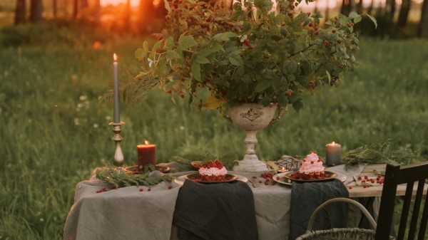 Table Chair Nature wallpaper