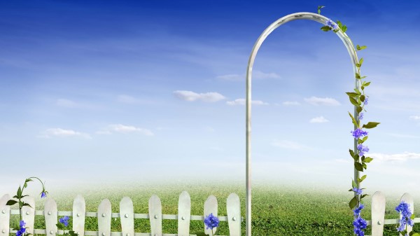 Tale Drawing Fence Gates Flower wallpaper