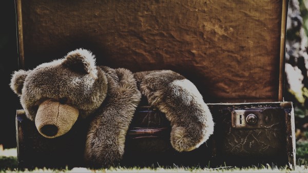 Teddy Bear Bear Toy wallpaper