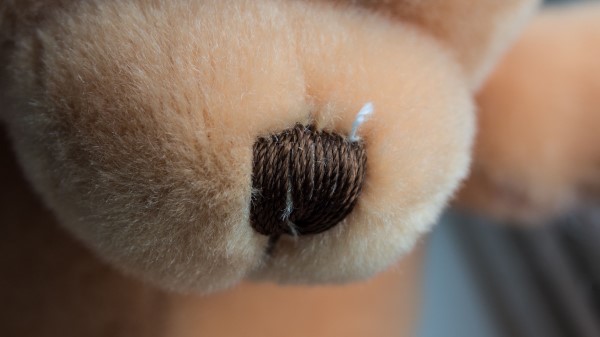 Teddy Bear Nose Muzzle Materia wallpaper
