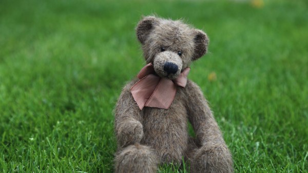 Teddy Bear Toy Grass Photo wallpaper