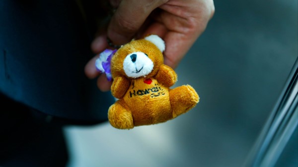 Teddy Bear Toy Hand wallpaper