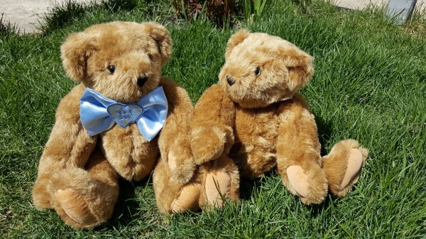 Teddy Bears Toys Couple Grass wallpaper