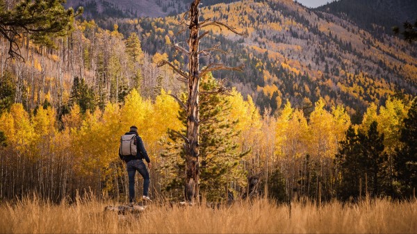 Tourist Forest Backpack wallpaper
