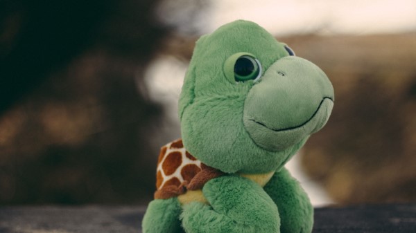 Toy Turtle Plush wallpaper