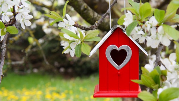 Tree Flowers Branch Birdhouse wallpaper