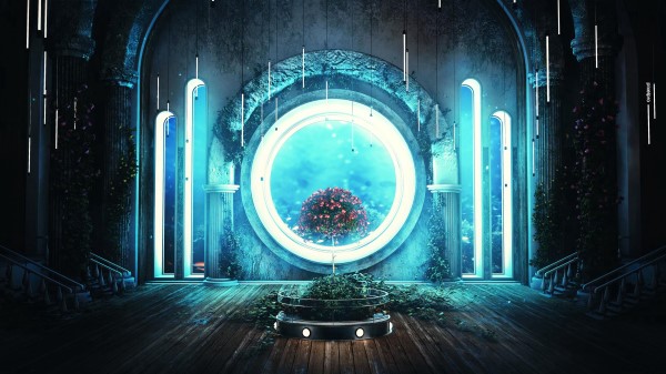 Tree Window Light wallpaper