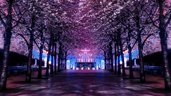 Trees Ferris Wheel Night wallpaper