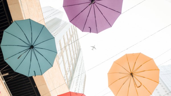 Umbrellas Ceiling Transparent Wallpaper