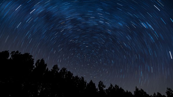 Twisting Starry Sky Trees wallpaper