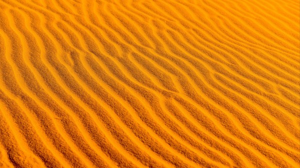 Desert Sand Surface wallpaper