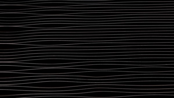 Lines Texture Bw Wallpaper